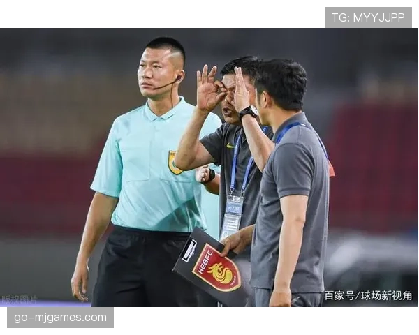 公安部通报打击足球领域腐败进展，数名从业者被依法调查